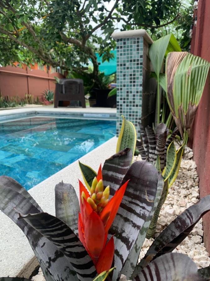 Villa Jade, La Fortuna Downtown Exterior photo